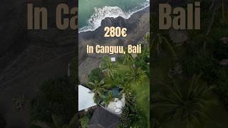 Do you think it’s worth it? ??