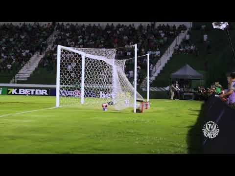Guarani 1x2 Palmeiras | Gol Parmeirense ⚽🐷