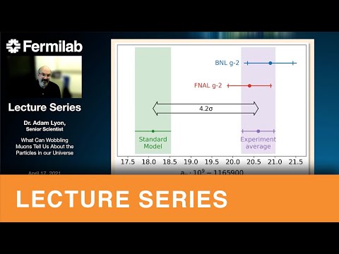 What Can Wobbling Muons Tell Us About the Particles in our Universe?