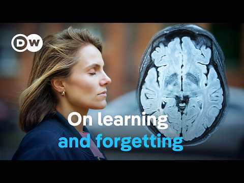 Our Memory -A Phenomenal Storage System | Dw Documentary