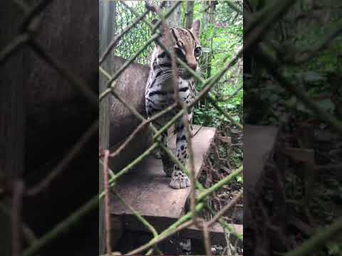 Myslíš? - Myslíš globálně, jednám lokálně