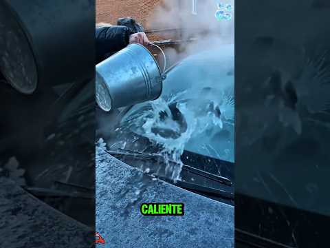 ¡No arranques la puerta congelada… este truco puede salvar tu coche! 😱🚗❄️