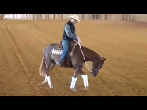 Foundation Training Workout - Ultimate body control!!!