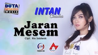 Download lagu Intan Chacha - Jaran Mesem | Dangdut  mp3