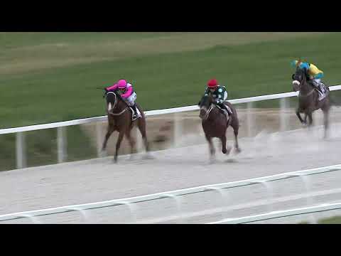 2021.05.30. 02. futam - NYERETLENEK VERSENYE (V.kat.)(szintetikus pálya)