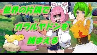 【実況配信】今更ながらガラルヤドンを見に行こう【ポケモン剣盾】