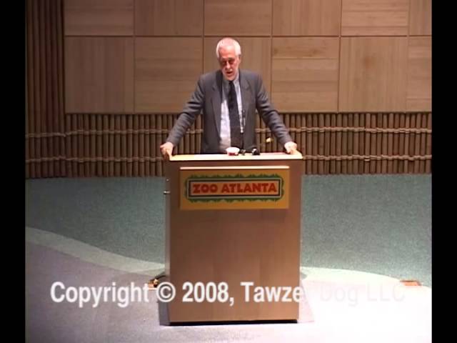 YouTube video preview