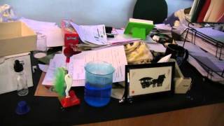 SPF Cribs - Mr. Ritter