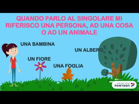 singolare e plurale dei nomi