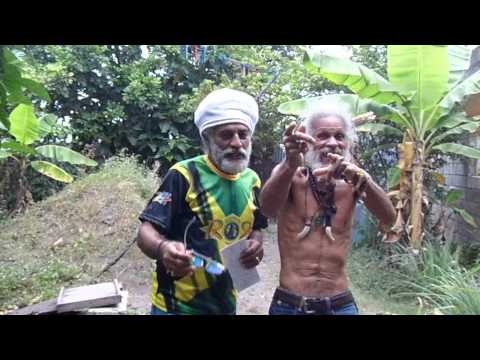 CEDRIC CONGOMAN % RZEE JACKSON CELEBRACAO REGGAE 2014 RECIFE