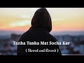 Tanha Tanha Mat Socha Kar Slowed And Reverb Lo Fi Music Vdieo Pk Crazy Smile
