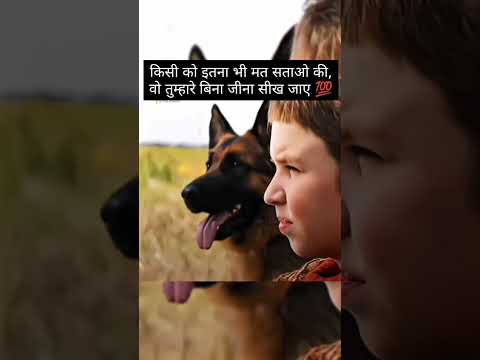 #viral #funny #dog #doglover #pets #best #love #shortsfeed #song #trending #shorts #new
