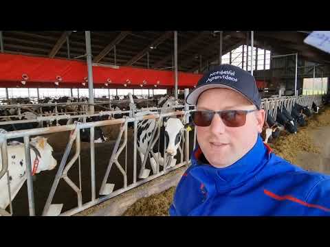 Hochwasser, Silo + Maisernte und was noch so alles passiert ist