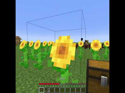 UltraLio - Cursed Sunflower Arrows in Minecraft