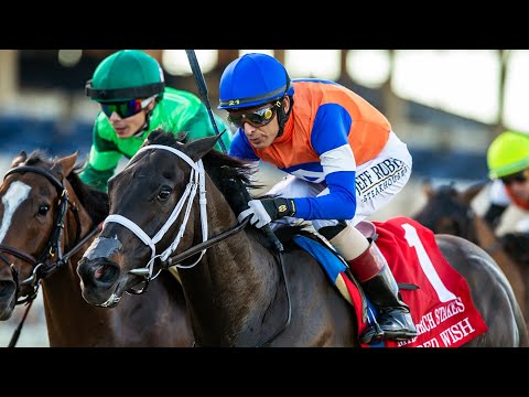 SACRED WISH beat GINA ROMANTICA in the G1 Matriarch Stakes