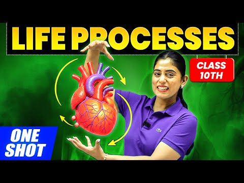 Life Processes in ONE SHOT ✅ | Class 10 Science Chapter 5 | NCERT + PYQs | By Samridhi Sharma