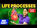 Life Processes In ONE SHOT Class 10 Science Chapter 5 NCERT PYQs By Samridhi Sharma