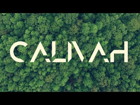 Calivah - 16 Bars