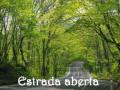 Open Highway - Flarow 