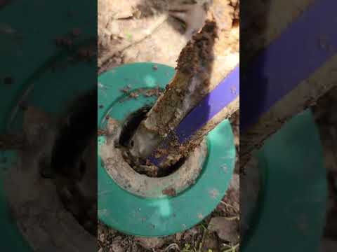 Bait stations are the best option for termite prevention 🏡 #termites #termitecontrol