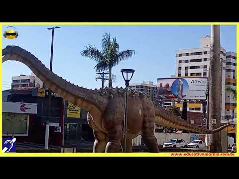 Tv Educativa Giro Pela Cidade Avenida São Luiz - Marília S.P.