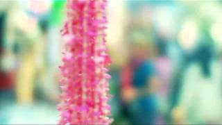 BANGLADESH MY BANGLADESH