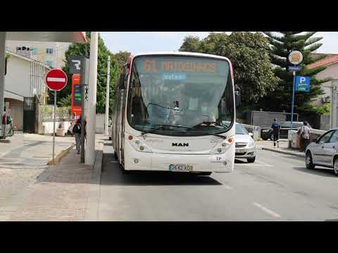 ValpiBus 250 (audio recording - collab)