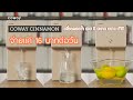 รีวิว Coway Cinnamon เครื่องกรองน้ำดีๆ ที่จ่ายเพียงแค่ 16 บาทต่อวัน | BKKWheels
