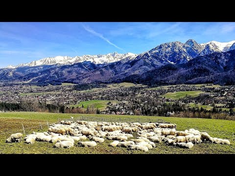 Velo Dunajec 4k  2025