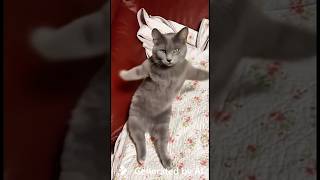 眠過ぎて今これ