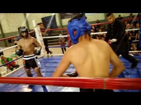 Kick boxing amateur - gladiadores