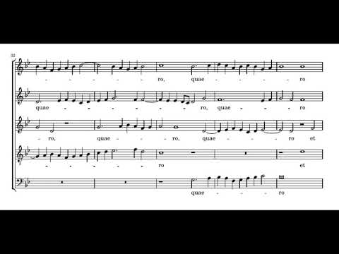 Palestrina: Ardens est cor meum - Cardinall's Musick