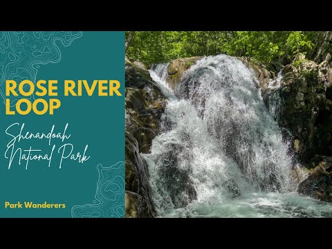 Rose River Loop Trail | Must-See Waterfall in Shenandoah National Park | 4K