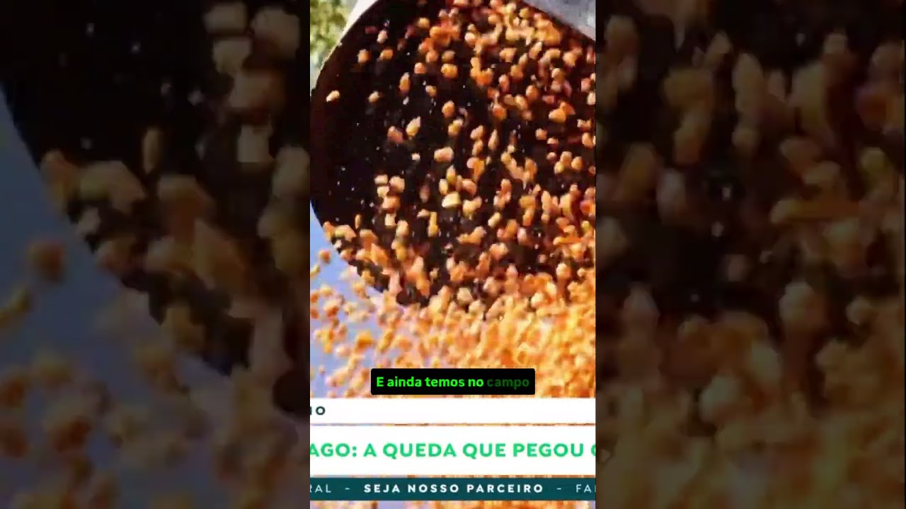 Milho em Chicago: A queda que pegou o mercado de surpresa