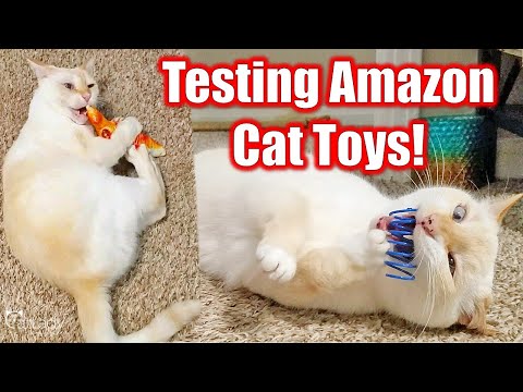 My cats review Amazon's most popular (and cheap) cat toys! 🐟😻🦎