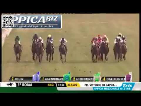 Premio Vittorio Di Capua - Gruppe 2