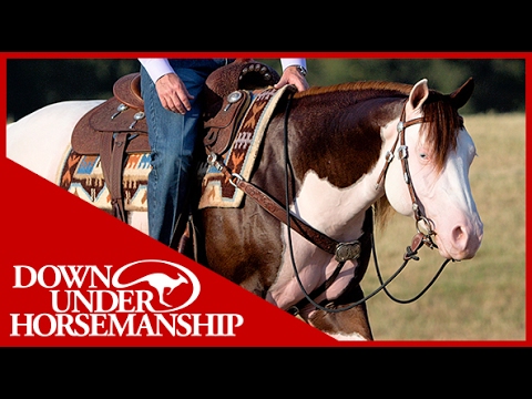 Clinton Anderson Presents: Titan a Legend in the Making, Lesson 9, Part 3 - Downunder Horsemanship