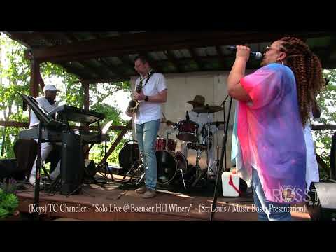 James Ross @ TC Chandler - "Keyboard Solo" - Live @ Boenker Hill Winery www.Jross-tv.com (St. Louis)