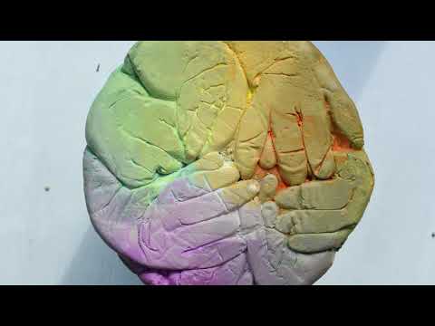 CAFKA.21: Daniel Griffin Hunt, It’s the bits | Educational Virtual Tour