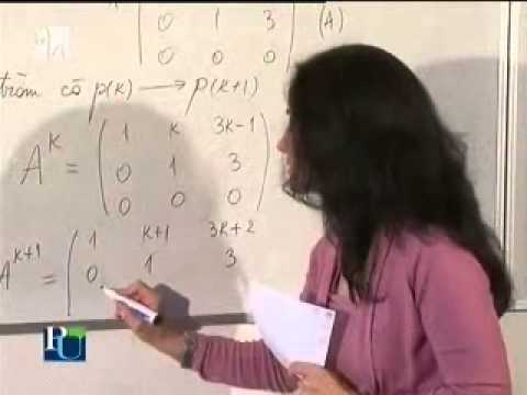 Matematică pentru Bac. Prof. Victorina Ţiripa (7