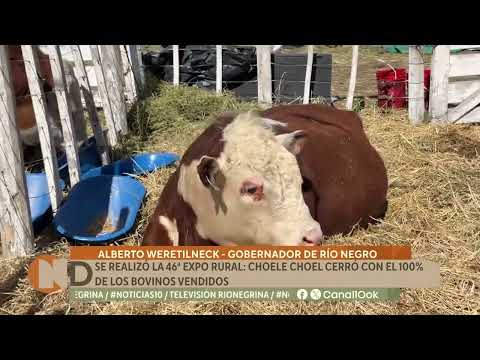 Éxito total en Choele Choel: la 46° Expo Rural cerró con el 100% de los bovinos vendidos
