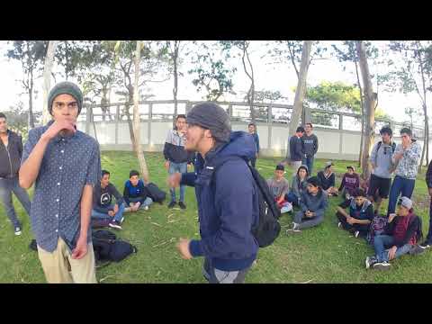 Cachorro Vs Pantalones Soporte Alterno