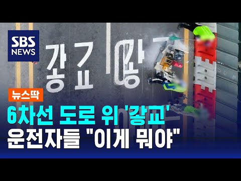 6차선 도로 위에 쓴 '갛'?…기괴한 형태에 "혼란스럽다" / SBS / 뉴스딱