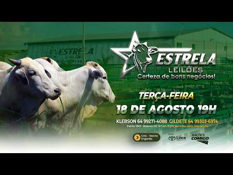 ESTRELA LEILÕES  - AO VIVO - 18/08/2026  -  19H - MORRINHOS - GOIÁS