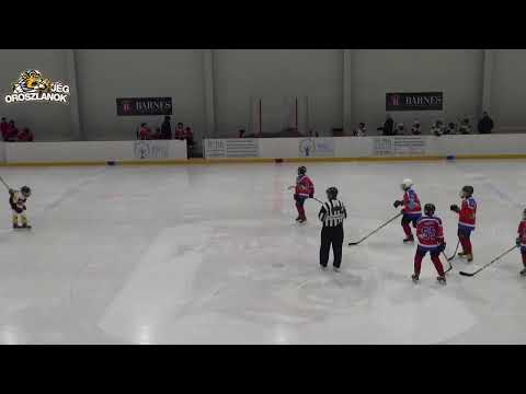 Szigeti Bikák - Jégoroszlánok U12