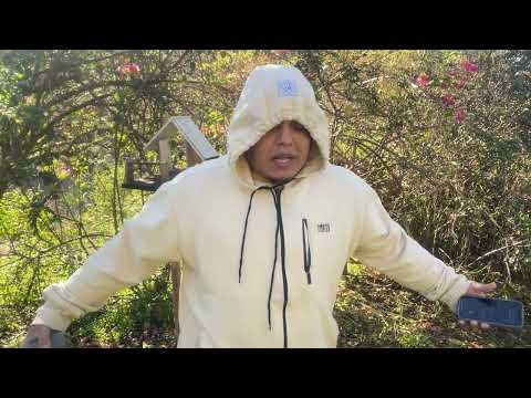 Fazendo Free ( Mais Uma Sessão De Rima Improvisada )