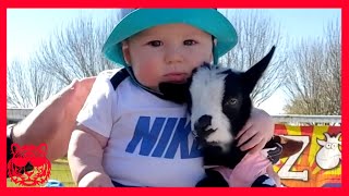 😊  Cute Moments (27)  أطفال مضحكون ★ فيديو أطرف أطفال الهند | لحظات ظريفة