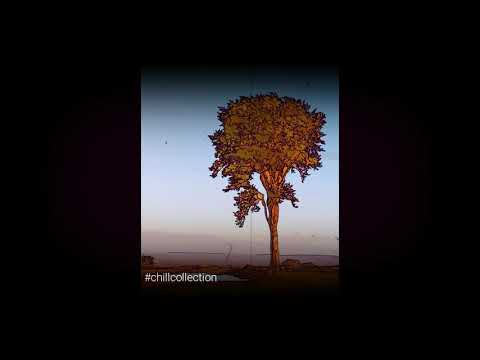 Crossroads - Ruu Campbell