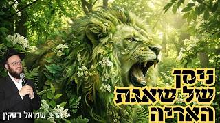 שאגת הארי: ניסן כזה טרם היה לנו | מאחורי הקלעים