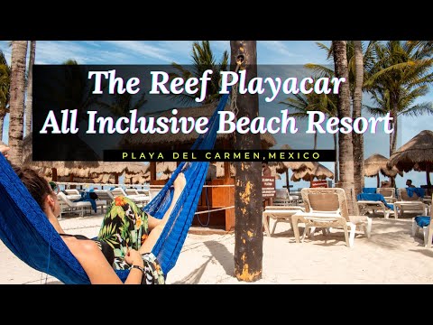 Videos del The Reef Playacar Beach Resort  Spa 5★ en Playa del Carmen, México
Ver Más
Ver
Precios
19
Cerrar
Consulta por Whatsapp 🇦🇷
Booking
Tripadvisor
Expedia
Travelocity
Orbitz
Priceline
Trip
Skyscanner
Despegar
Kayak
Hoteles
Bestday
Destinia
Trivago
Turismocity
Lastminute
Hotwire
Cheaptickets
Tui
